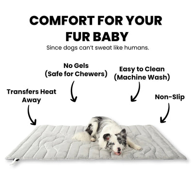 Tapis Rafraichissant pour chien