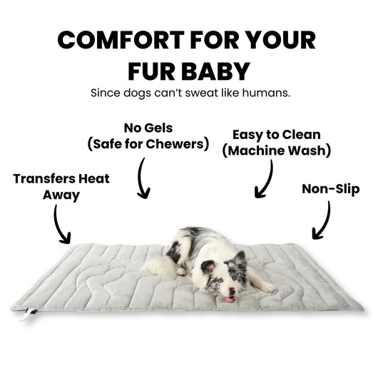 Tapis Rafraichissant pour chien